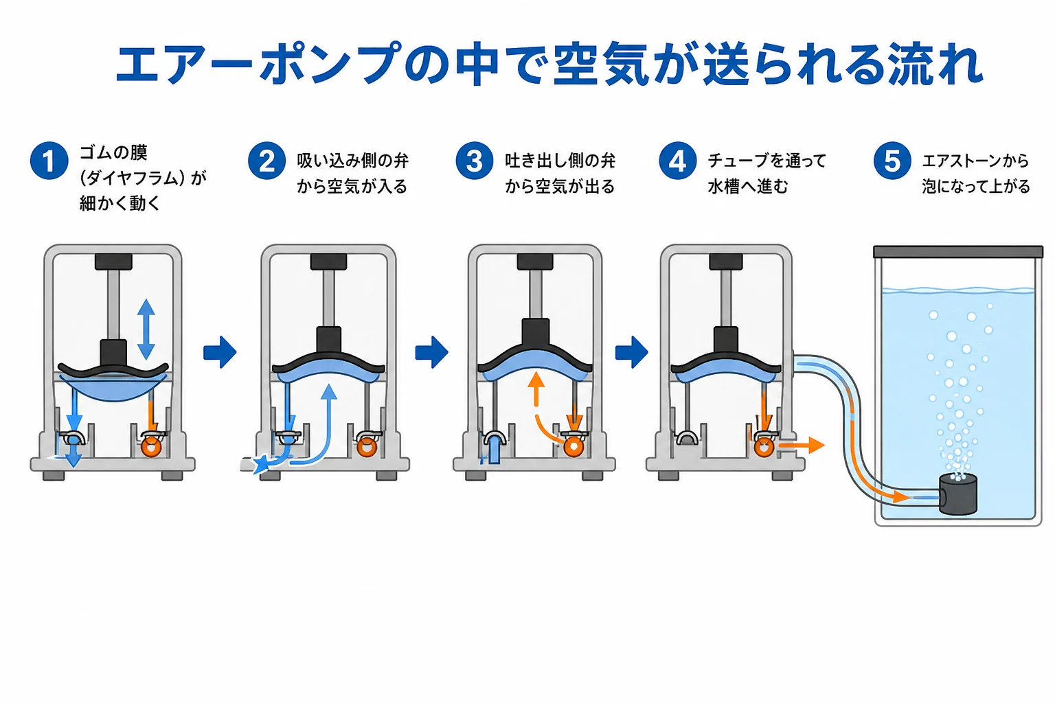 エアーポンプの中でゴムの膜（ダイヤフラム）が動き、弁を通って空気がチューブへ押し出される流れを示した図解
