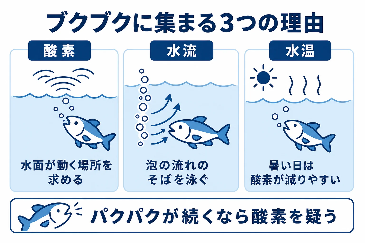 ブクブクに集まる理由を酸素・水流・水温の3つに分けて示した図解