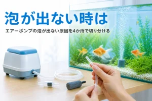 エアーポンプとチューブ・エアストーンを並べて確かめている水槽の横の様子