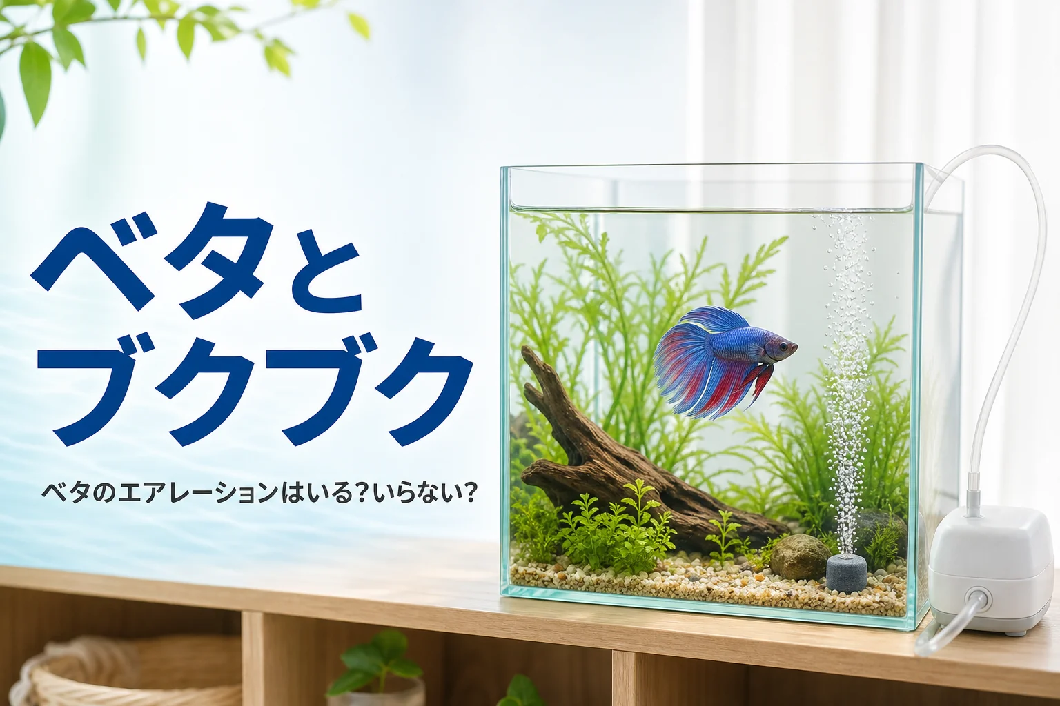 長いヒレのベタが泳ぐ小さな水槽と、端から少しだけ泡が上がるエアストーン