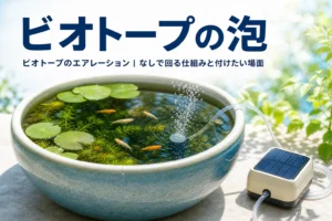 庭先の睡蓮鉢のビオトープでメダカが泳ぎ、ソーラー式ポンプからやさしい泡が立つ様子と記事タイトル