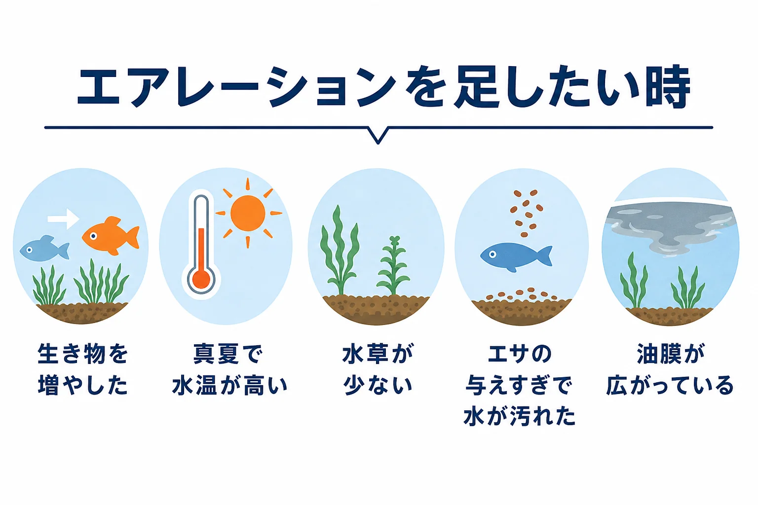 ビオトープでエアレーションを足したい5つの条件をまとめた図解