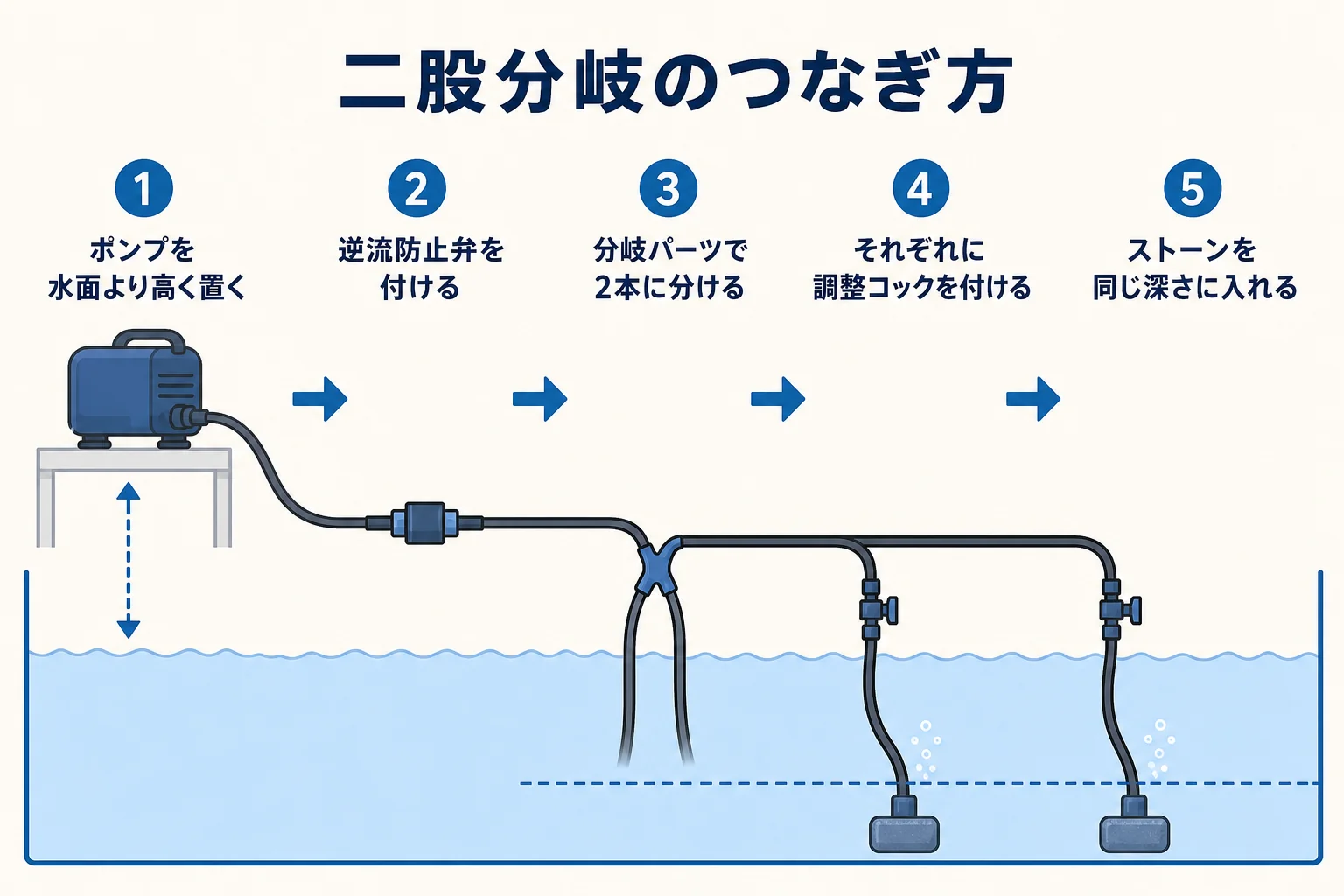 エアーポンプから逆流防止弁と分岐パーツを通して2つの水槽に空気を送るつなぎ方の図解