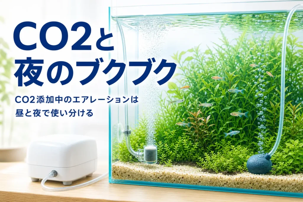 水草が茂る水槽でCO2の気泡とエアストーンが並ぶ様子