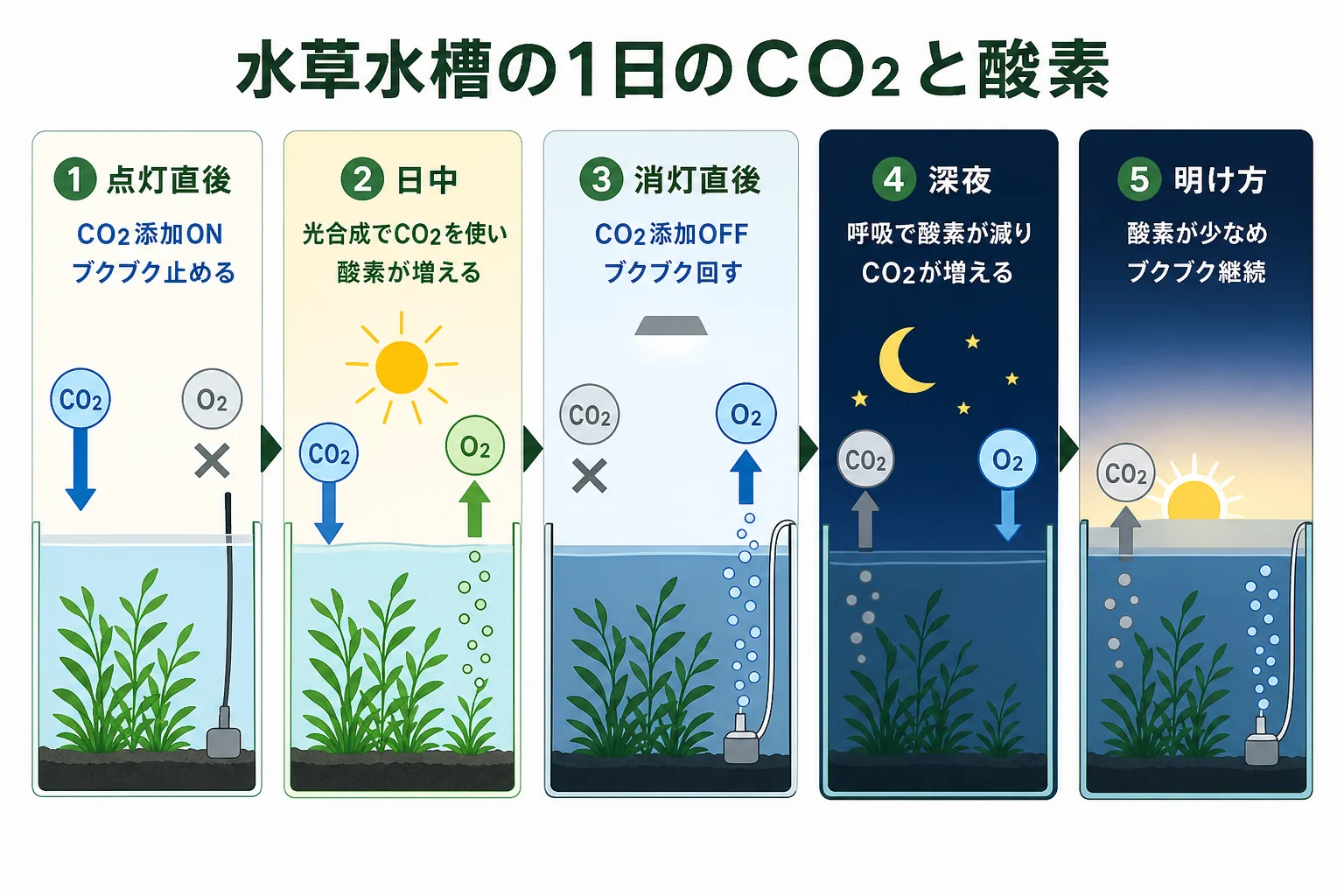 昼は光合成でCO2が減り酸素が増え、夜は呼吸でCO2が増え酸素が減る1日の流れを時間軸で示した図解