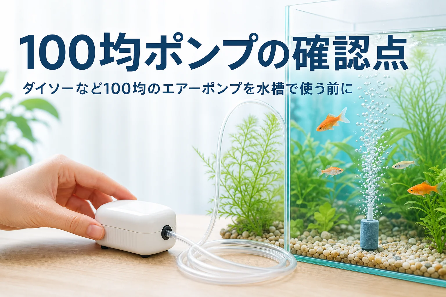 小さな水槽の横に置いた小型エアーポンプからストーンで泡を出している様子と記事タイトル