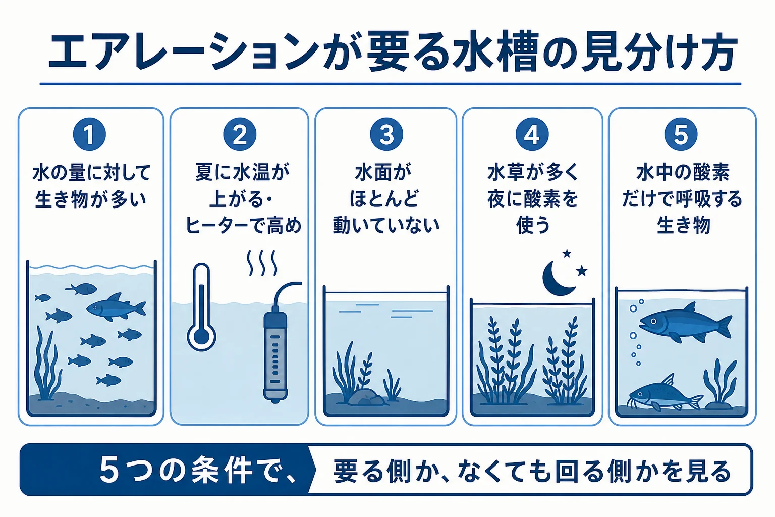エアレーションが要る水槽かどうかを生き物の数・水温・水面・水草・呼吸の5つの条件で見分ける図解