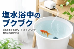 日陰に置いた容器で弱めの泡を立てながら金魚が過ごす様子と、塩水浴中のエアレーションを紹介する記事タイトル