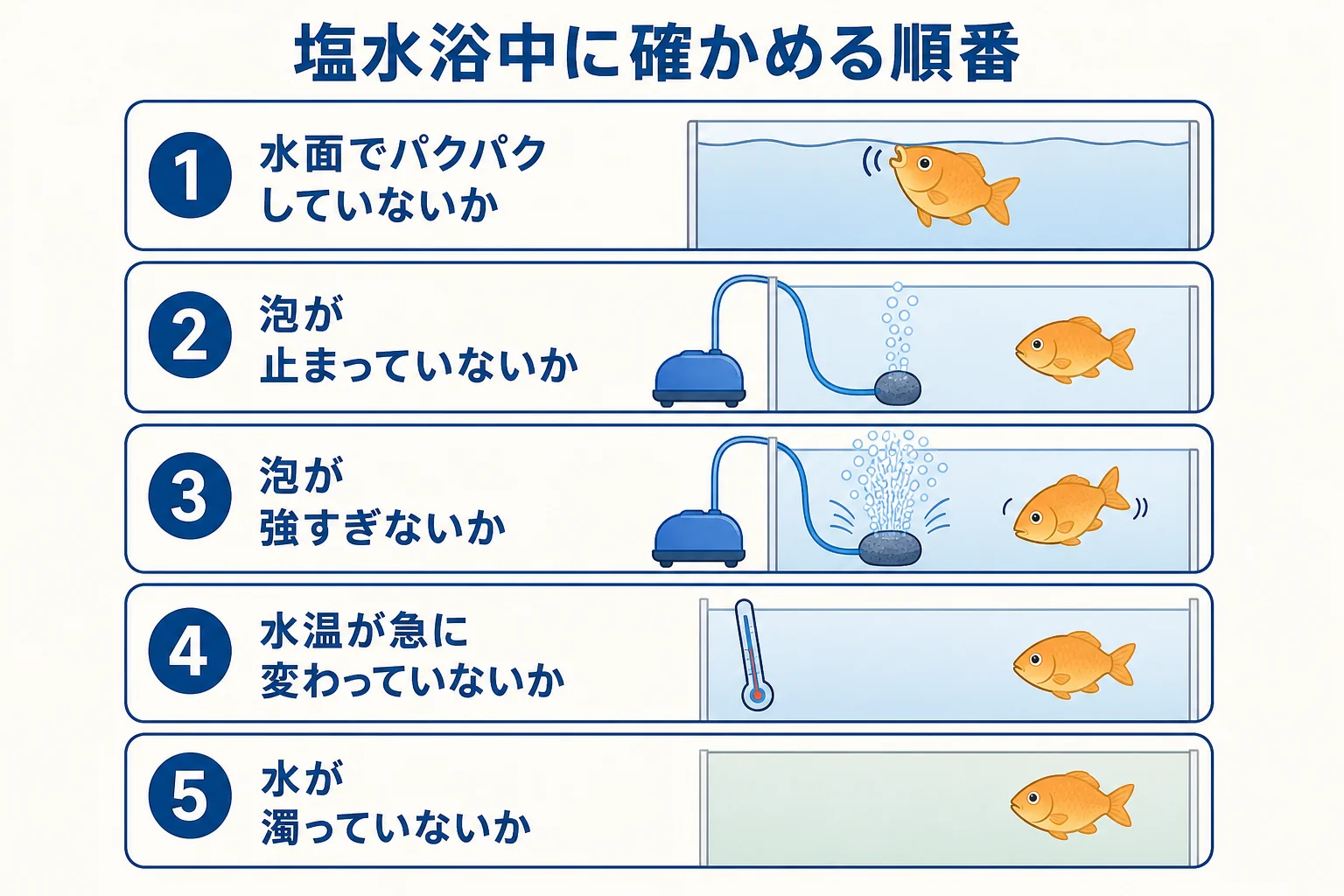 塩水浴・薬浴中に、魚の呼吸・泡・水温・水の汚れの順に確かめる流れの図解