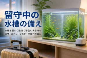 旅行用のスーツケースの奥に置かれた水槽と、留守の間の水槽の備えを紹介する記事タイトル