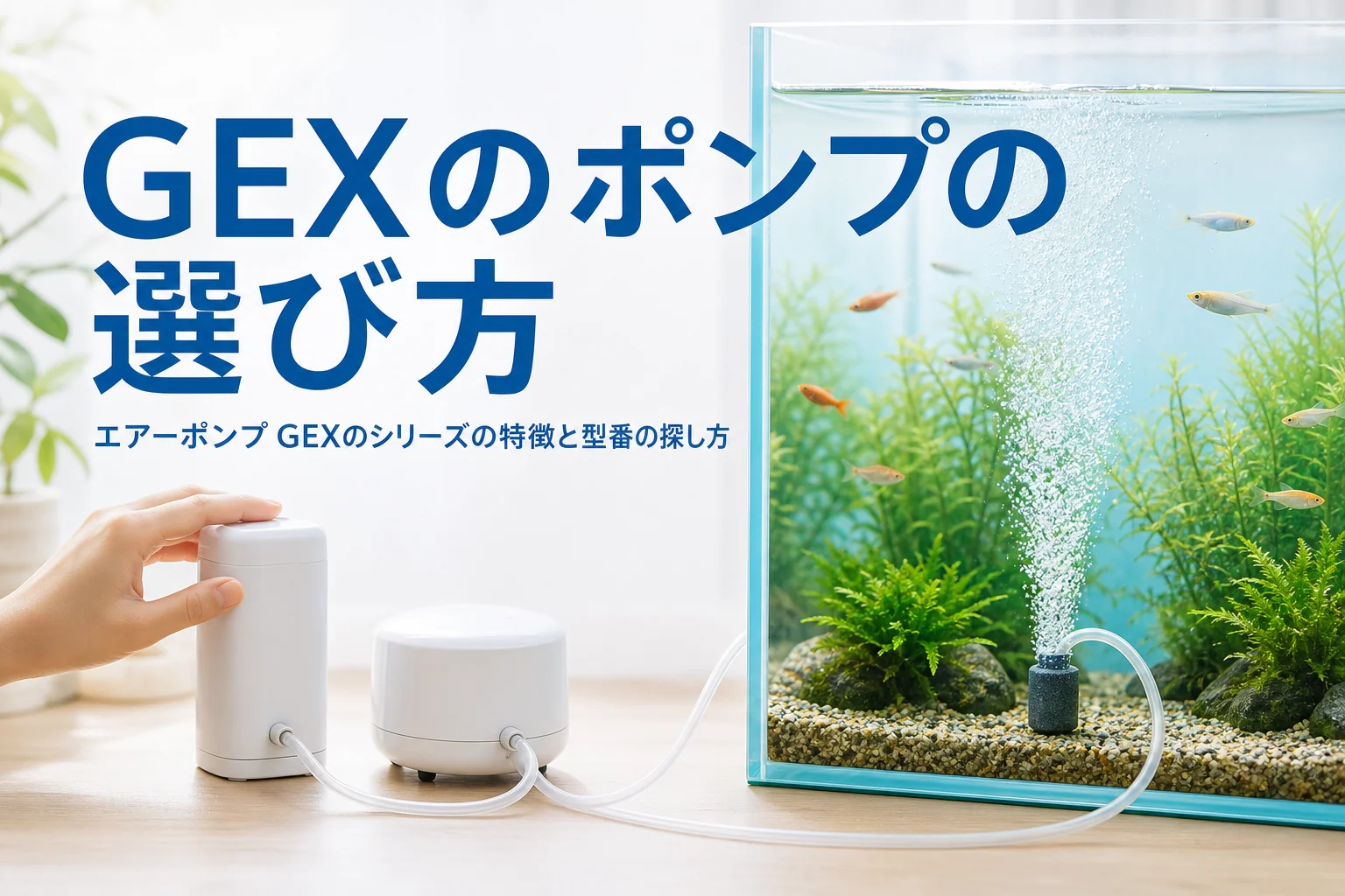 水槽の横に形の違うエアーポンプを並べ、チューブで泡を送っている様子とGEXのエアーポンプの記事タイトル
