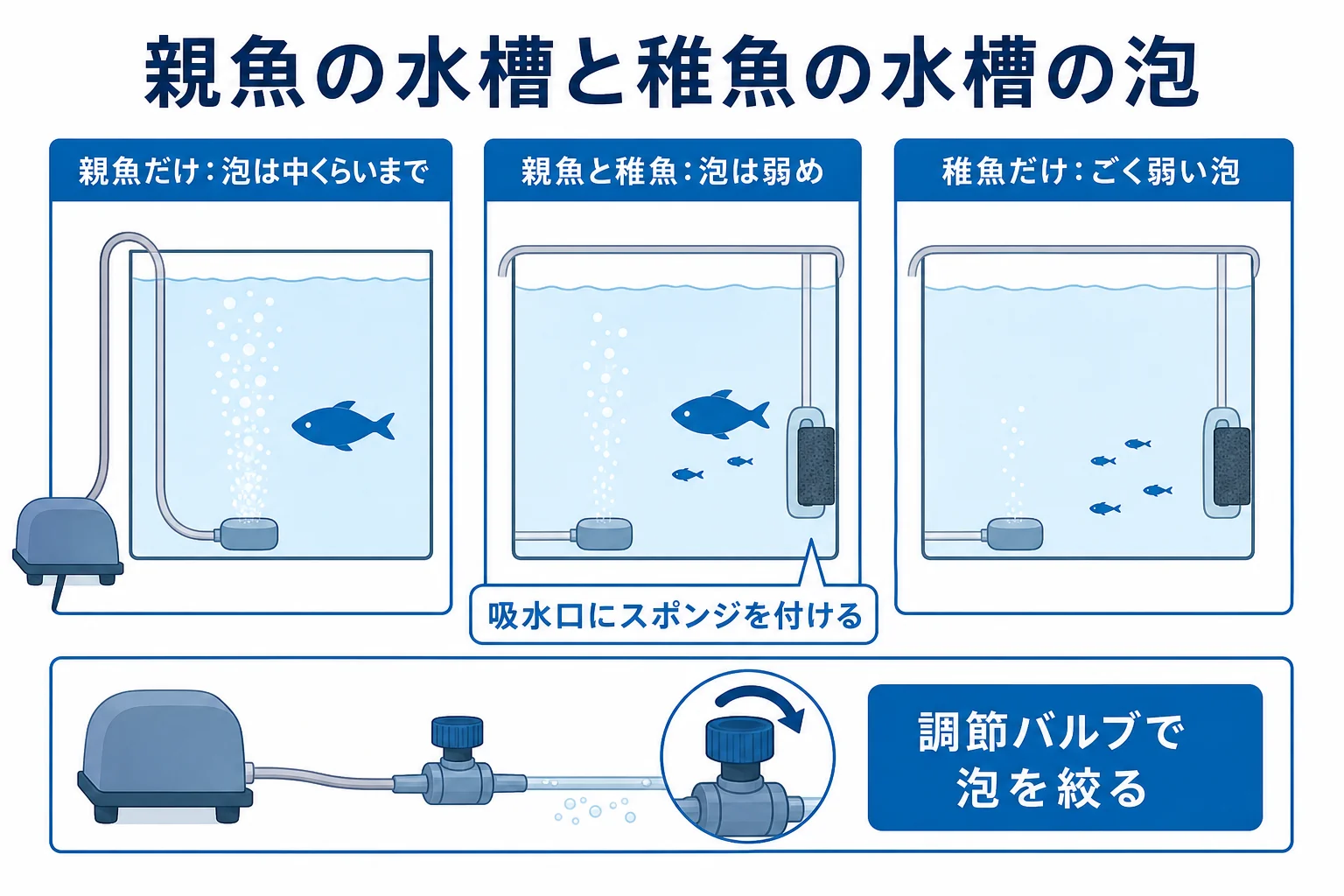 親魚だけの水槽と稚魚がいる水槽で、泡の強さと吸い込みの注意を分けて整理した図解