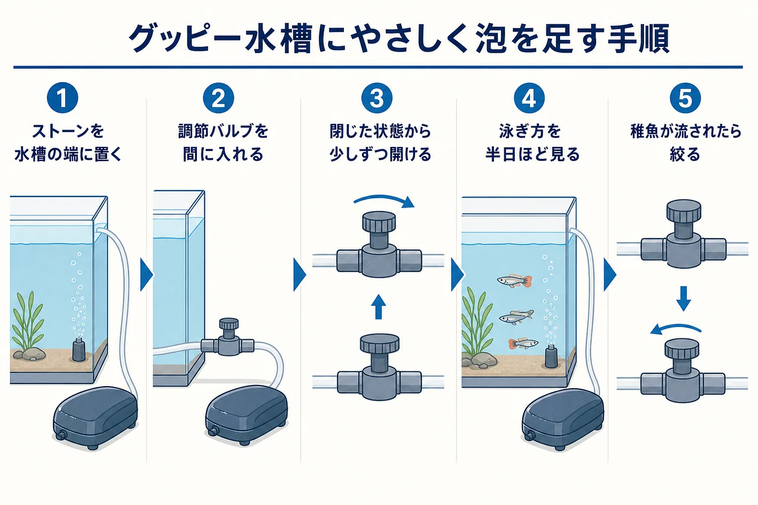 グッピーの水槽に調節バルブを入れて、弱めの泡から少しずつ合わせる手順を示した図解