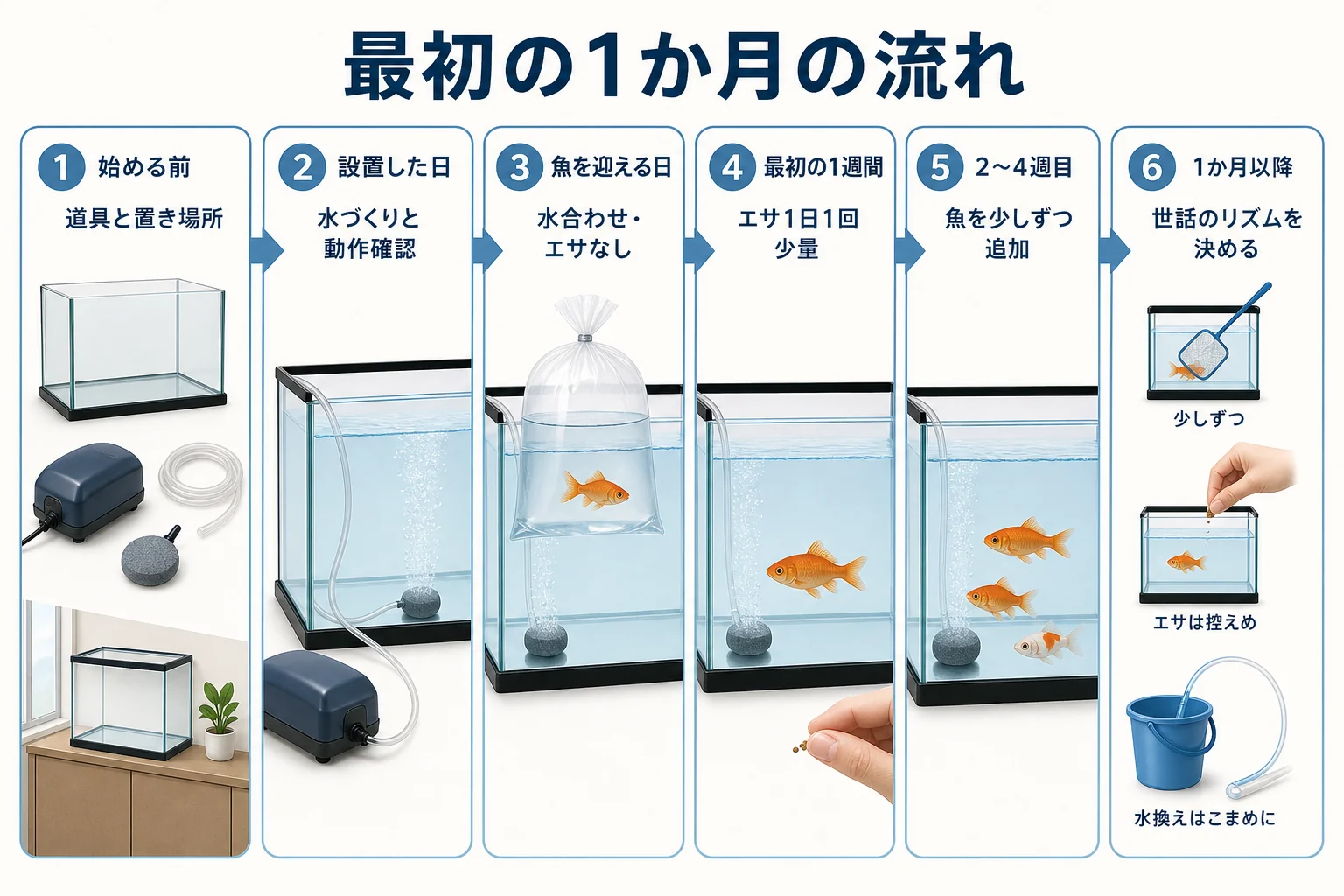 始める前から1か月以降まで、アクアリウムの立ち上げでやることとブクブクを使う場面を時間の流れで示した図解