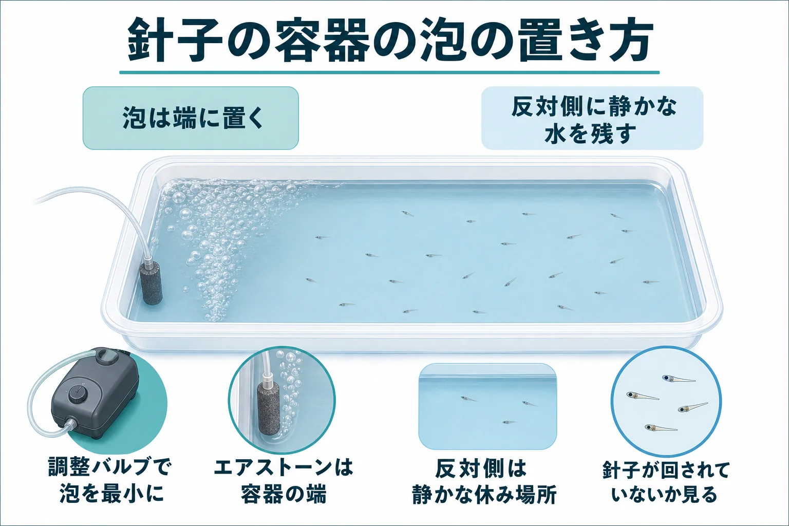 針子の容器でエアストーンを端に置き、反対側に静かな水を残す配置を示した図解