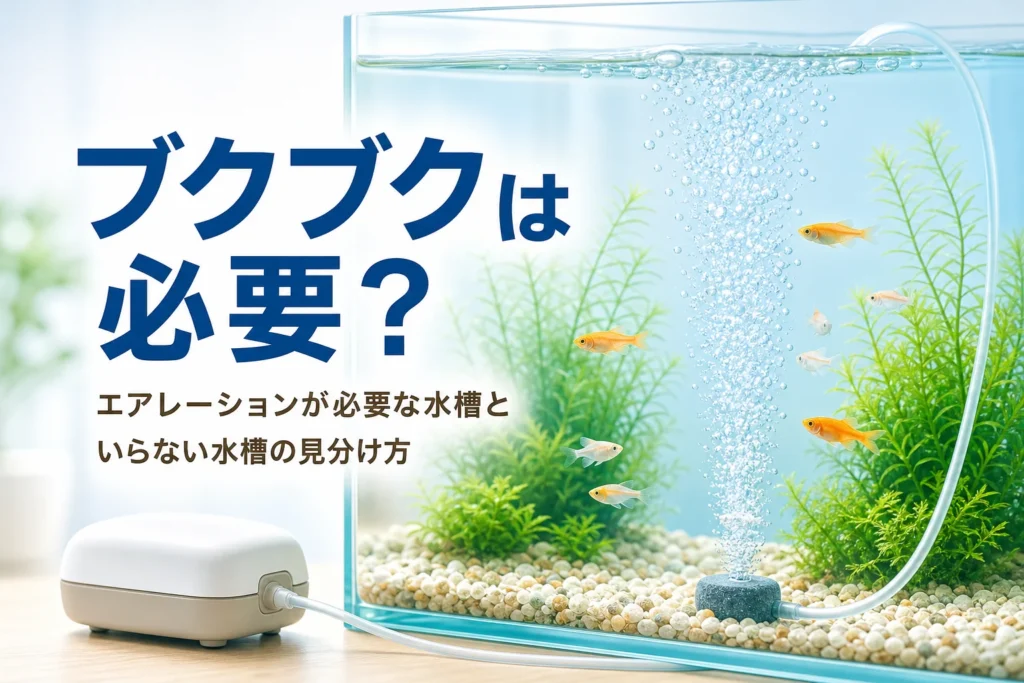 エアストーンから泡が立つ水槽と、エアレーションが必要かの見分け方を紹介する記事タイトル