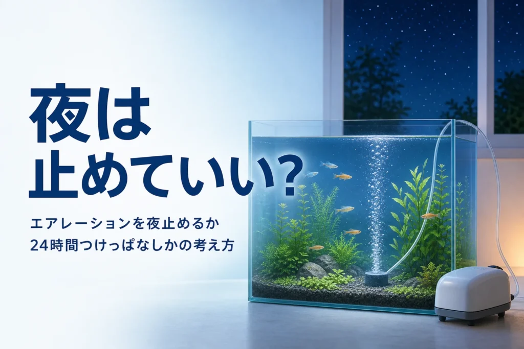 夜の部屋で静かに泡が上がる水槽