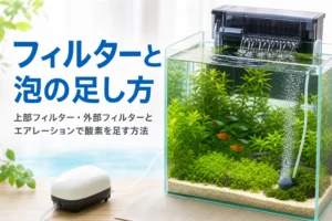 上部フィルターの排水で水面が揺れ、エアストーンから泡が立つ水槽と、フィルターとエアレーションを紹介する記事タイトル