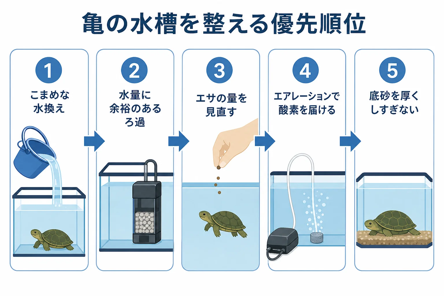 亀の水槽で水換え・ろ過・エアレーションの優先順位を並べた図解