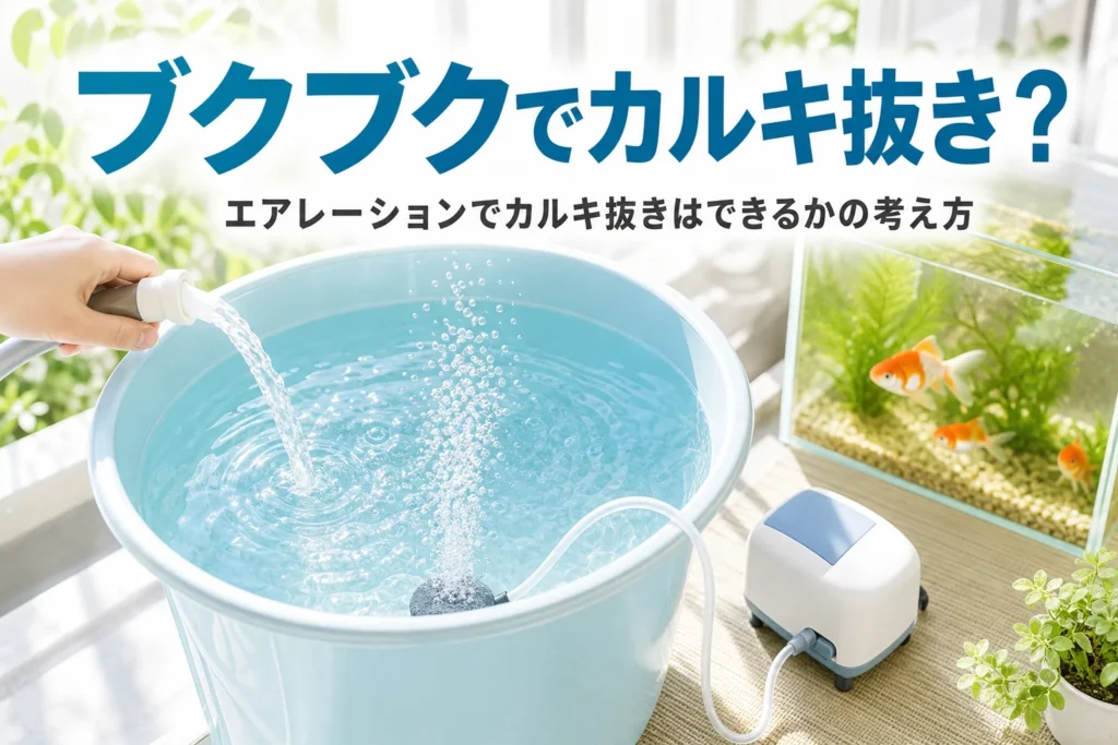 日なたのバケツの水にエアストーンで泡を送る様子