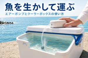 クーラーボックスに携帯用エアーポンプで泡を送り、魚を生かして運ぶ様子と記事タイトル