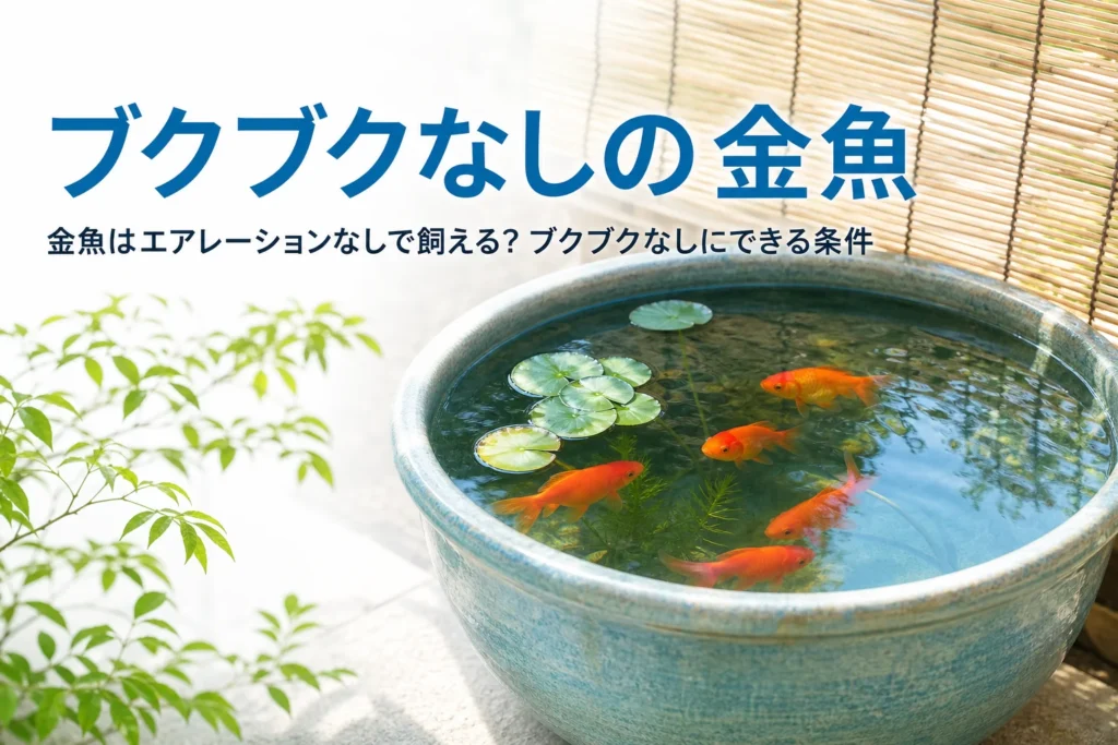 睡蓮鉢で金魚が泳ぐ様子と、金魚をエアレーションなしで飼う条件を紹介する記事タイトル