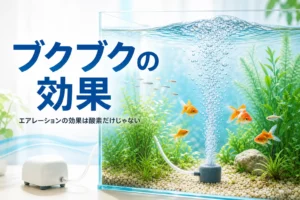 エアストーンの泡で水面が揺れる水槽と、エアレーションの効果を紹介する記事タイトル