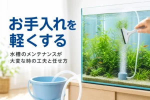 水槽のガラスを掃除している手元と水換えの道具、水槽のメンテナンスの工夫を紹介する記事タイトル