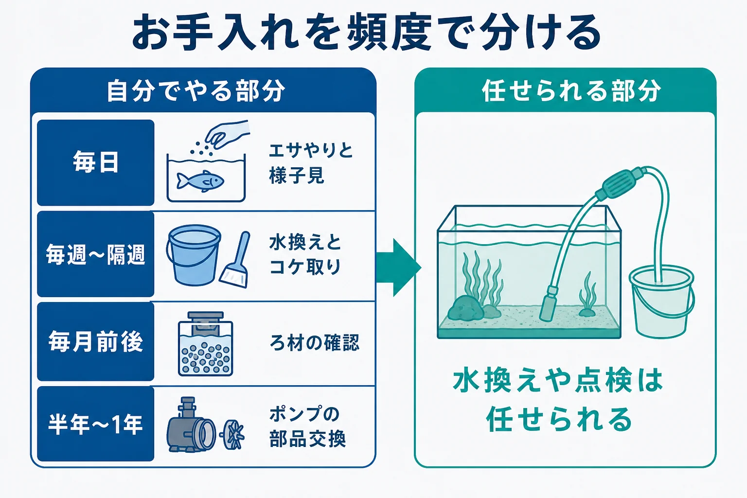 水槽のお手入れを毎日・毎週・毎月の作業に分けて、自分でやる部分と任せられる部分を示した図解