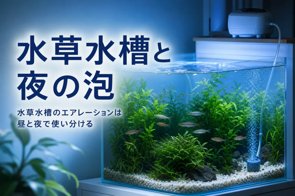 照明を消した夜の水草水槽でエアストーンから泡が立つ様子