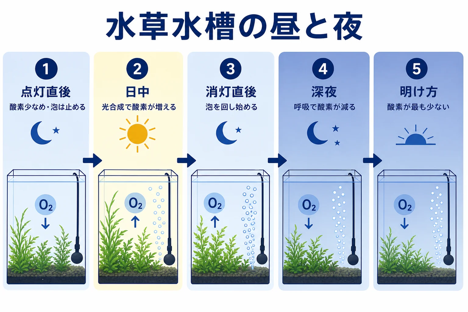 水草水槽の1日で、昼は光合成で酸素が増え夜は呼吸で減る流れと、エアレーションを回す時間帯を示した図解