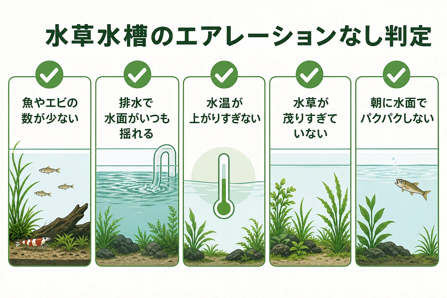 水草水槽をエアレーションなしで回せるかを5つの条件で確かめる図解