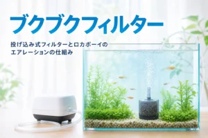 水槽の底で泡を出す投げ込み式フィルターとエアーポンプ、投げ込み式フィルターの仕組みを解説する記事タイトル