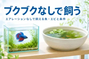 ベタが泳ぐ小さな水槽とメダカが泳ぐ水面の広い鉢、エアレーションなしで飼える魚を紹介する記事タイトル