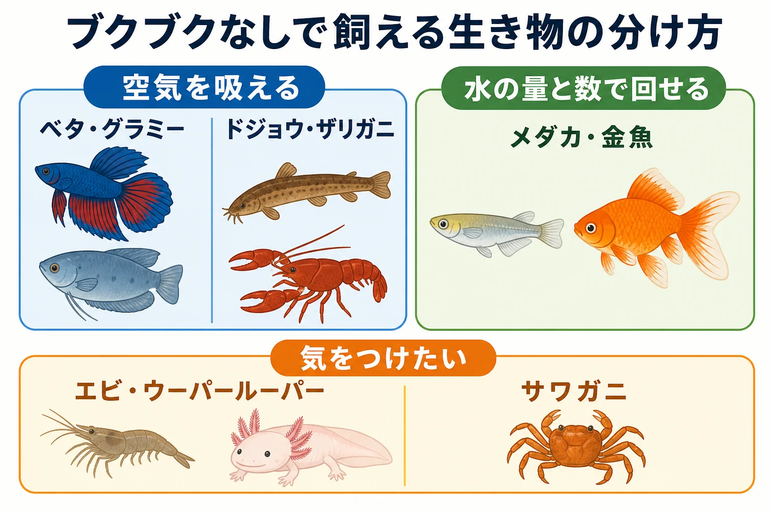 エアレーションなしで飼える生き物を空気を吸えるタイプ・水の量と数で回せるタイプ・気をつけたいタイプに分けた図解
