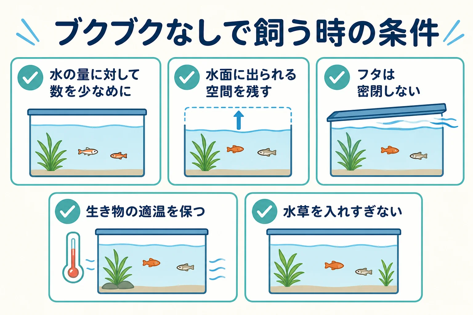 ブクブクなしで飼う時に確かめたい水の量・水面・フタ・水温・水草の条件をまとめた図解