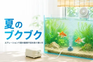 夏の部屋で泡が上がる水槽と冷却ファン