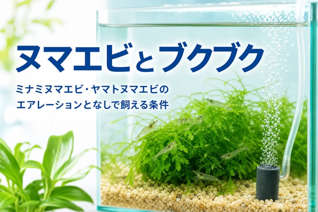 水草の上にヌマエビがとまる水槽で控えめな泡が立つ様子と、ミナミヌマエビのエアレーションを紹介する記事タイトル