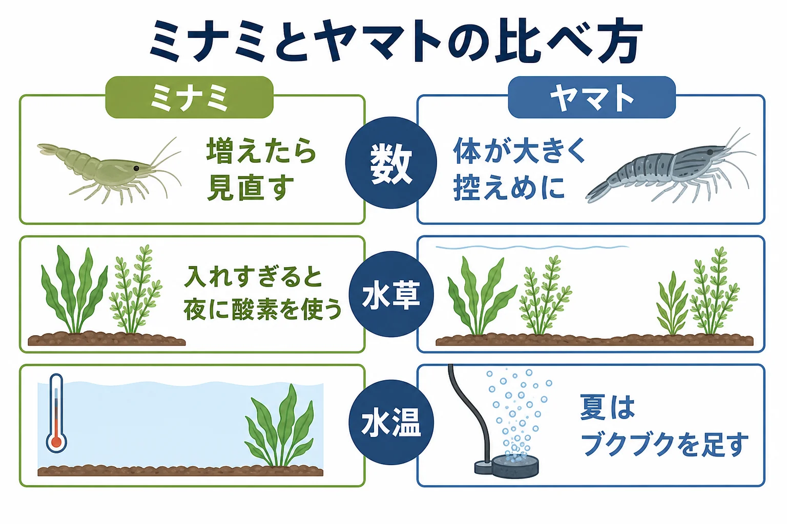 ミナミヌマエビとヤマトヌマエビを数・水草・水温で比べ、エアレーションなしで飼える条件を示した図解