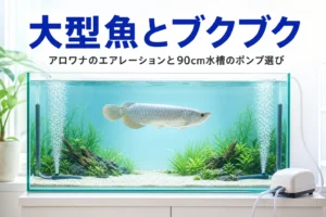 大きな魚が泳ぐ横長の水槽と、左右の端から泡が上がるエアストーン