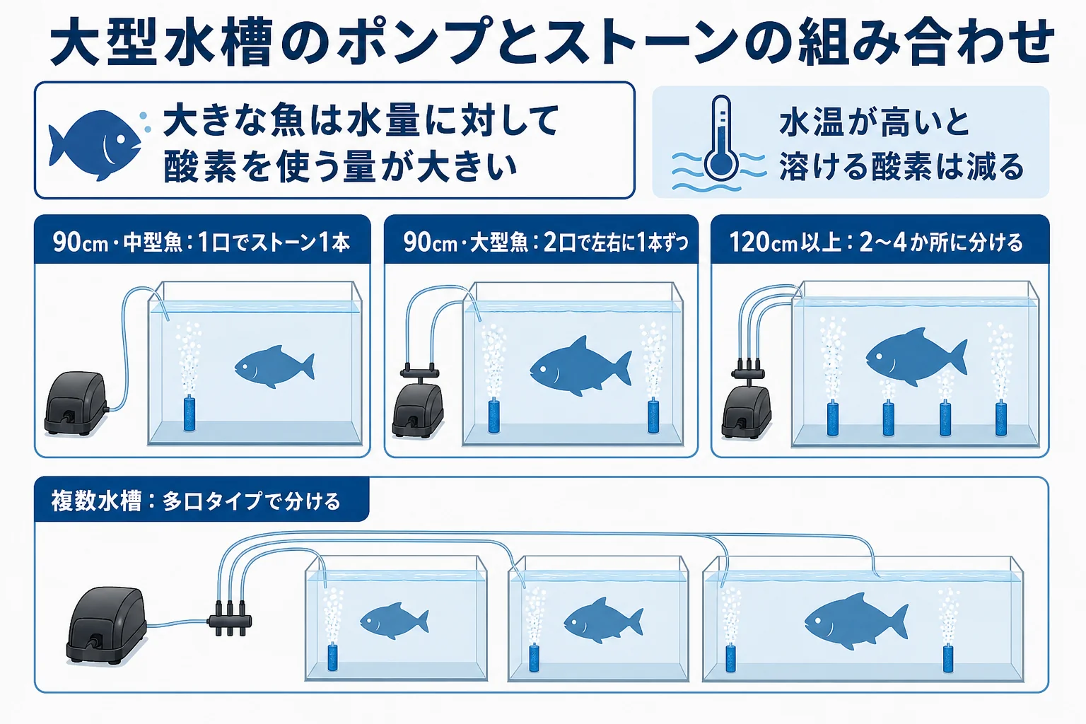大きな魚の水槽で、水量に対して酸素を使う量が大きいことと、ポンプとストーンの組み合わせを整理した図解