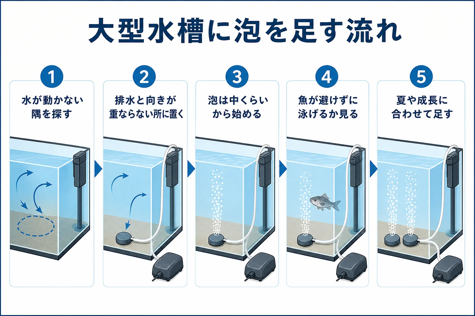 大型水槽で止水域を見つけてエアストーンを足し、泡を調整する流れを示した図解