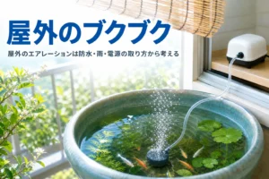 ベランダの睡蓮鉢に室内のポンプからチューブで泡を送る様子