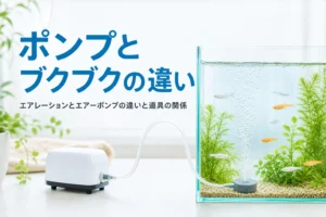 小型のエアーポンプとチューブでつながった水槽のエアストーンから泡が出る様子、エアレーションとエアーポンプの違いを解説する記事タイトル