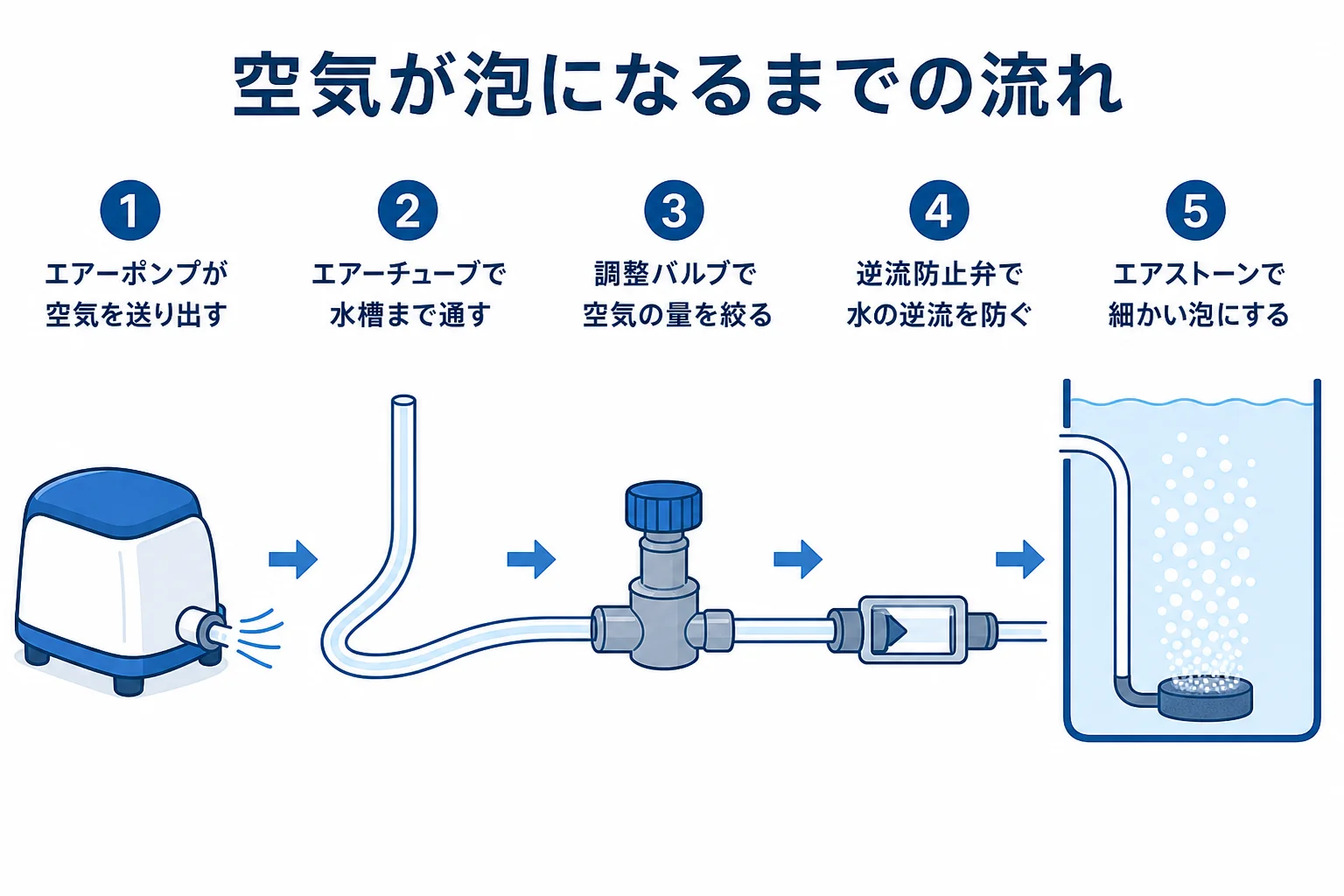 エアーポンプからエアーチューブ、逆流防止弁、エアストーンを通って空気が泡になるまでの流れを示した図解