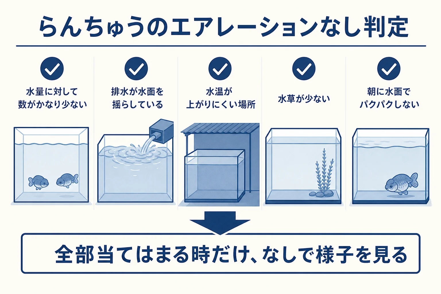 らんちゅうをエアレーションなしで飼ってよいかを5つの条件で確かめる図解