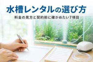 見積もりの書類とチェックリストを前に水槽レンタルを比べている様子と記事タイトル