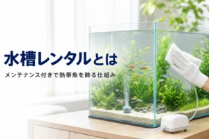 リビングに置かれた熱帯魚水槽をスタッフがお手入れしている様子と、水槽レンタルの仕組みを紹介する記事タイトル
