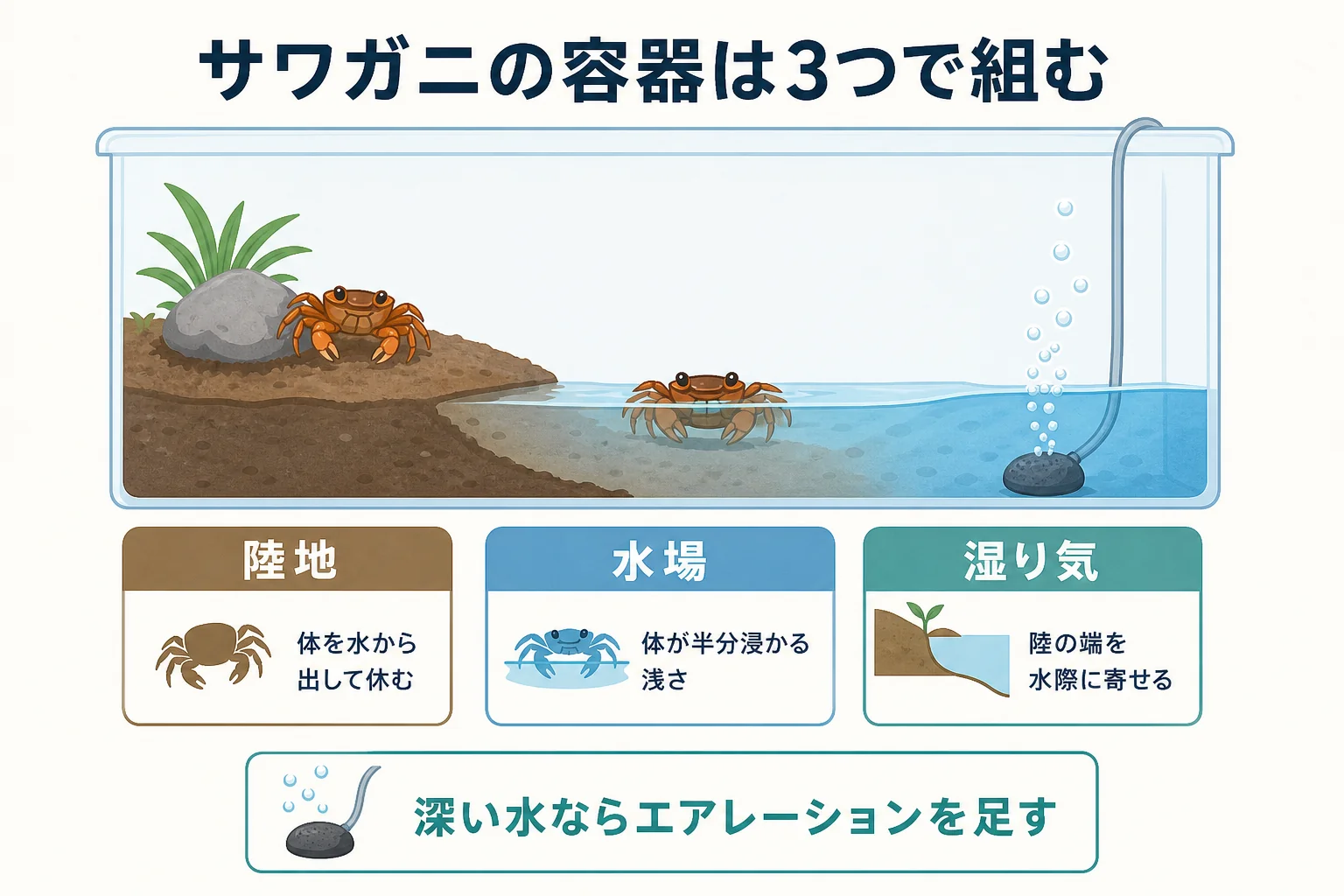 サワガニの飼育容器を陸地・水場・湿り気の3つで組む考え方を示した図解