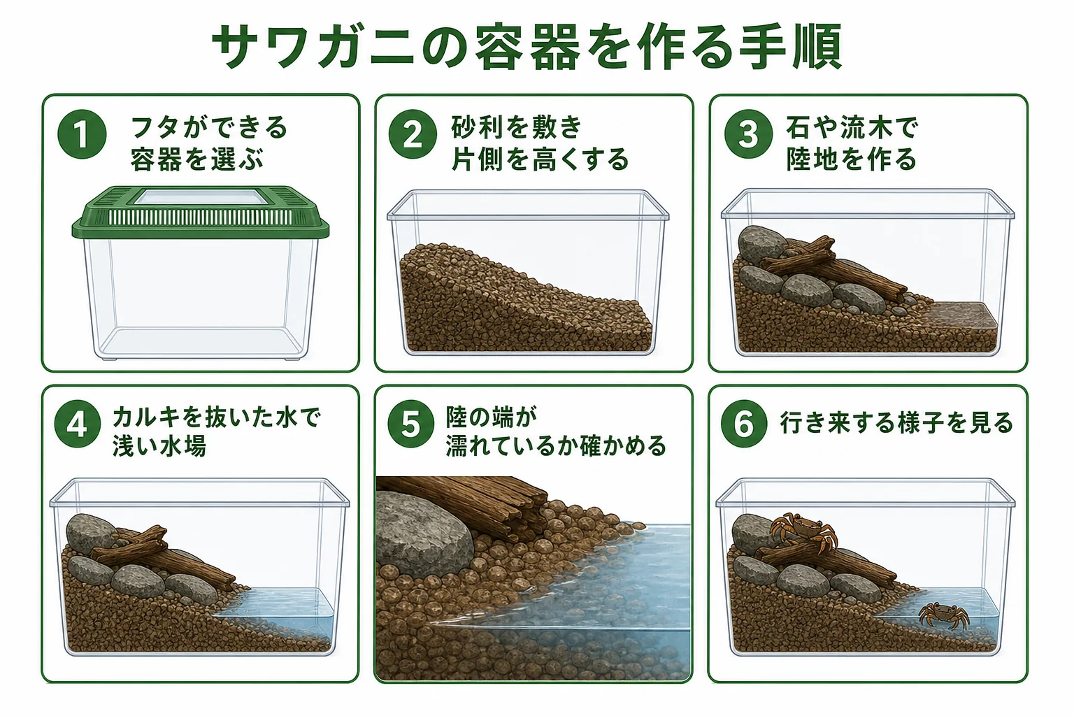 サワガニの飼育容器を作る手順を順番に示した図解
